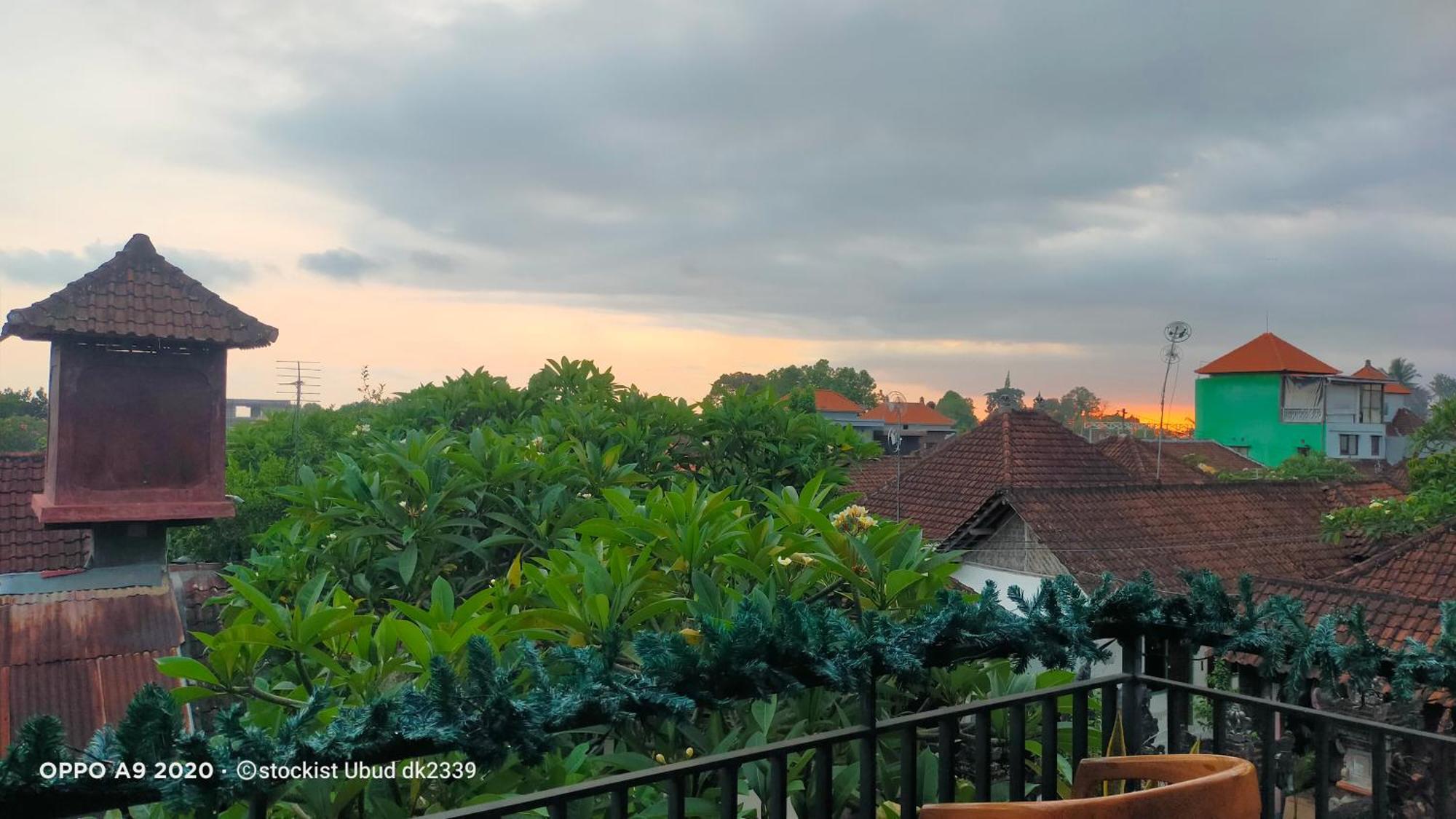 Danu House Ubud 外观 照片