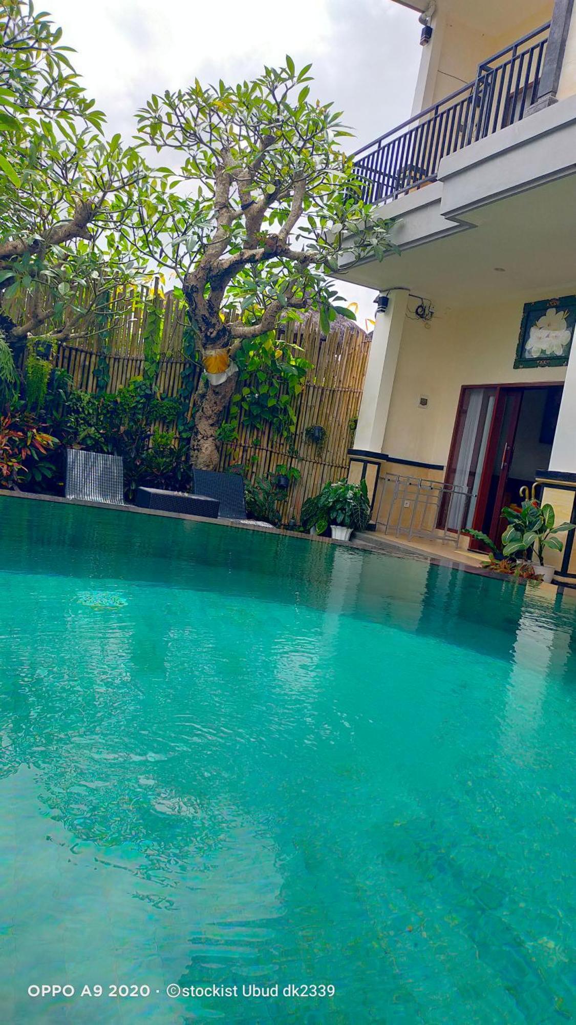 Danu House Ubud 外观 照片