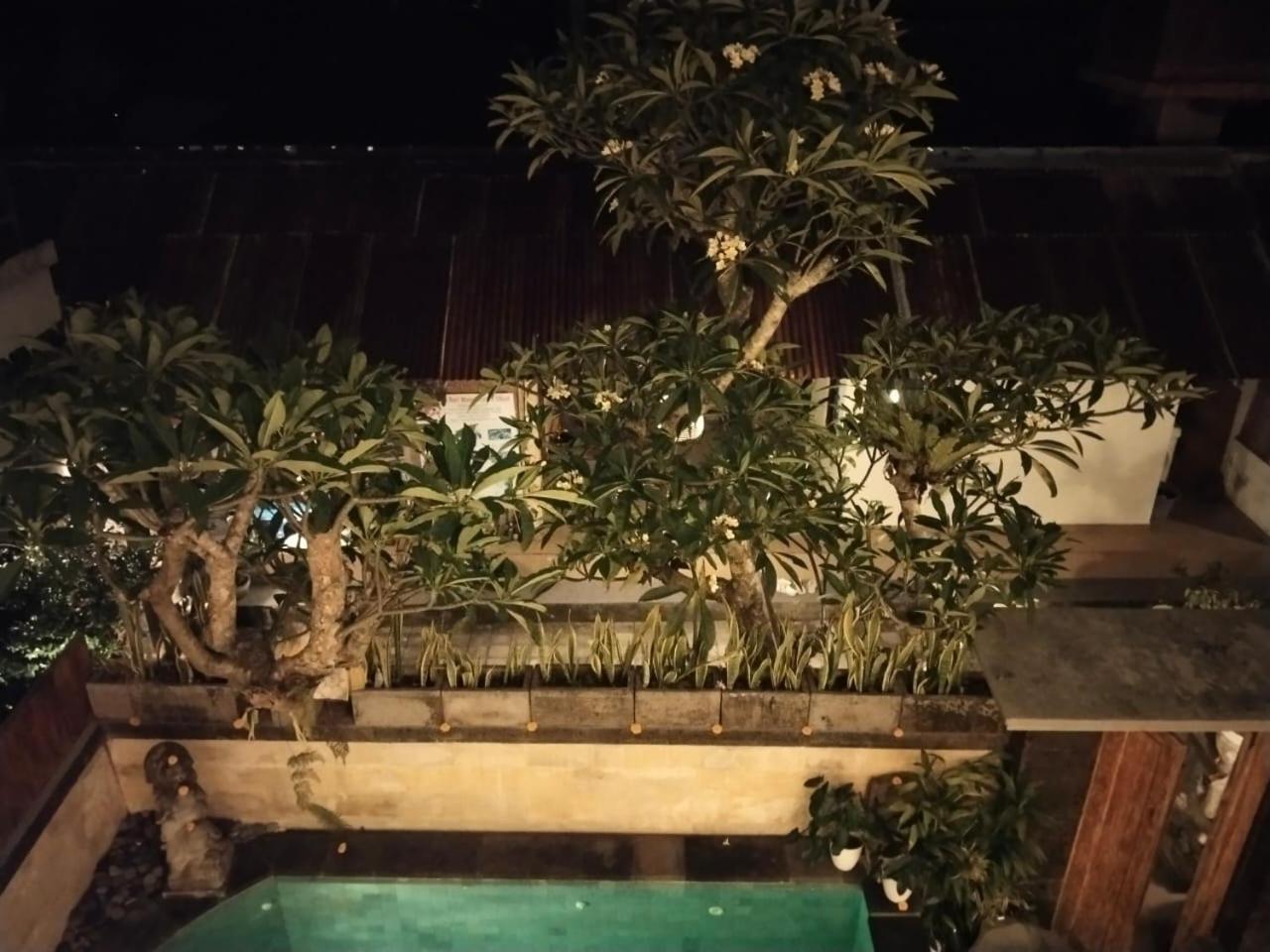 Danu House Ubud 客房 照片